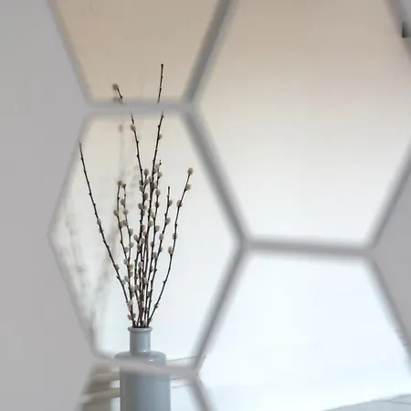 Step 카스토리아